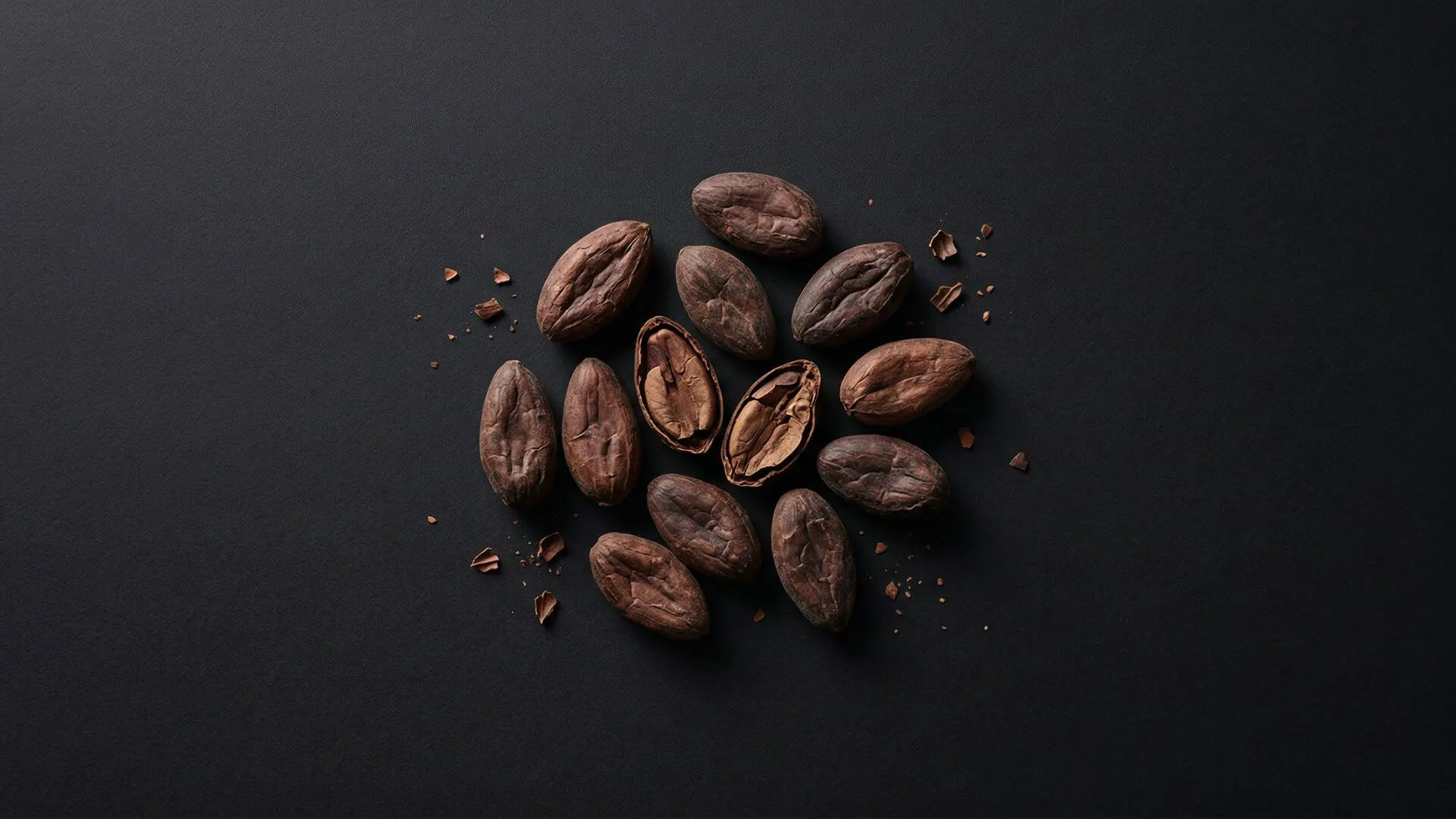 feve de cacao en parfumerie
