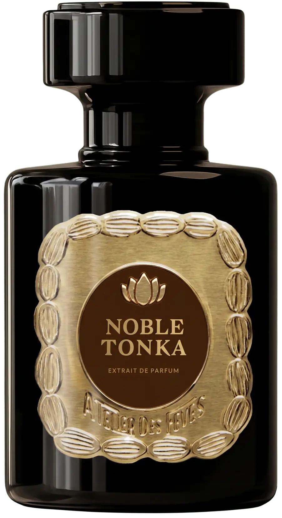 Noble tonka parfum page accueil