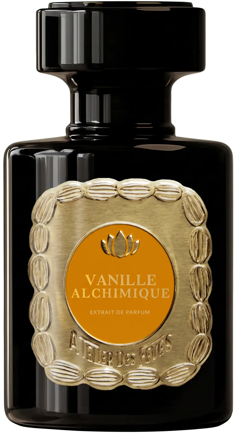 Vanille chimique parfum page accueil