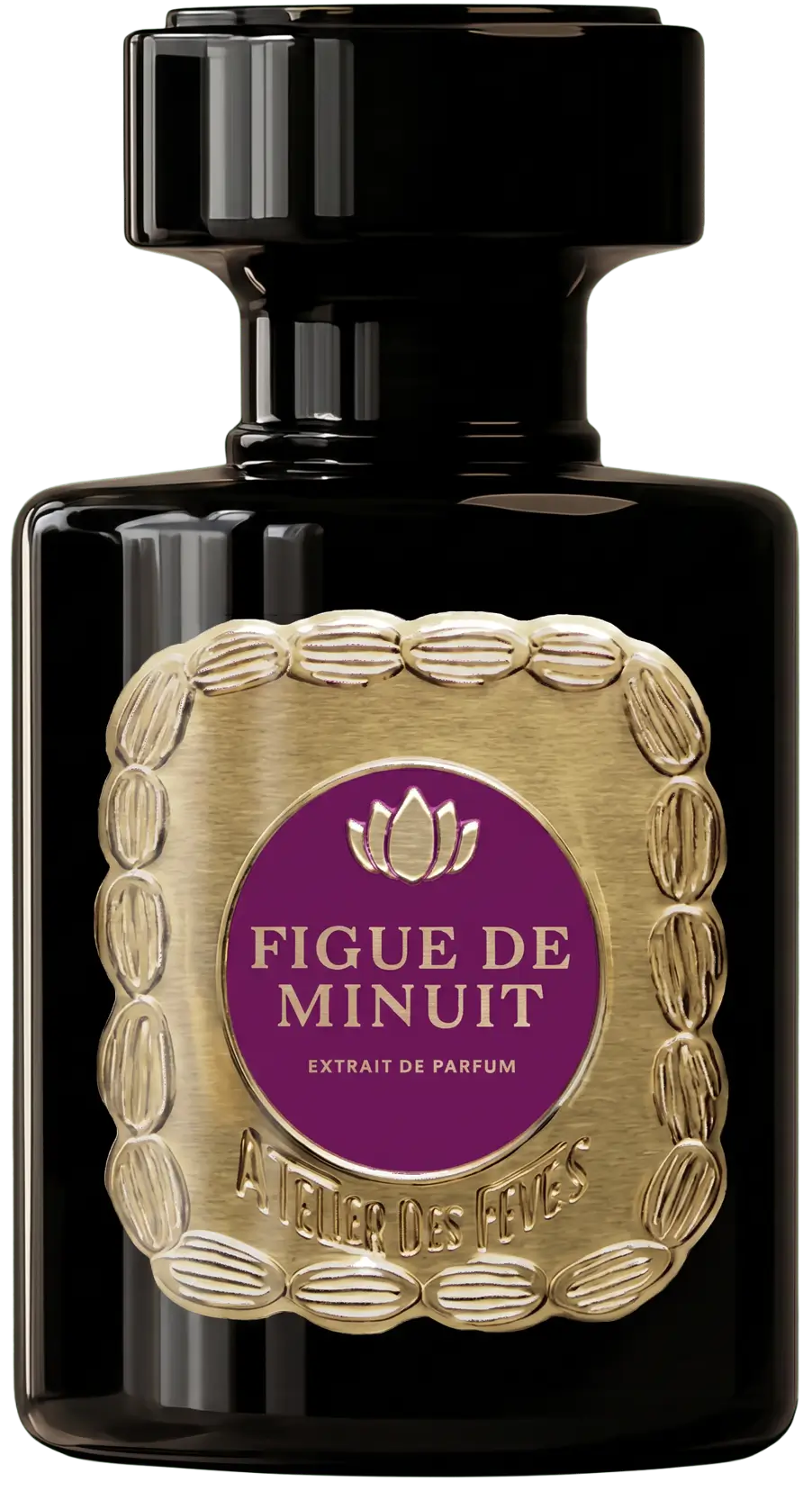 figue de minuit parfum page accueil